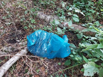 Podsumowanie jesiennego sprzątania Rawki – 04.10.2025 r., 